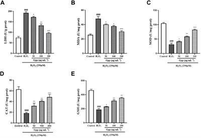 Neuroprotection of Gastrodia elata polyphenols against H2O2-induced PC12 cell cytotoxicity by reducing oxidative stress